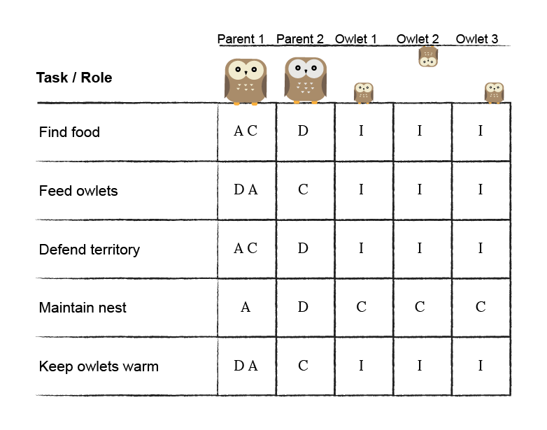 Decision DACI matrix