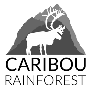 MCI.logo.color_v2-01 copy