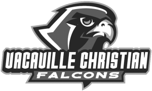 falcon-logo-greyscale