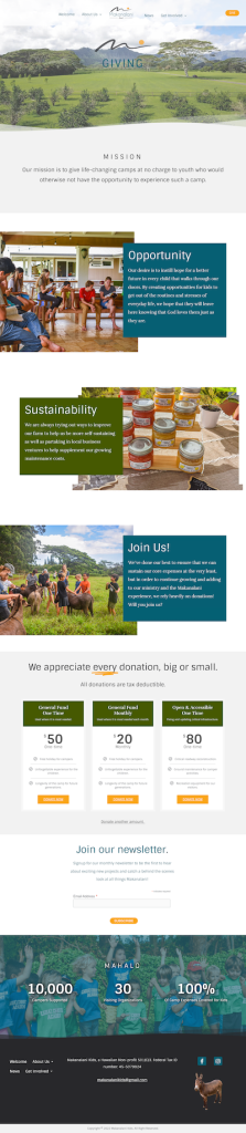 Screenshot of the donate page